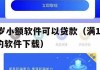 满16周岁小额软件可以贷款（满16周岁可以贷款的软件下载）